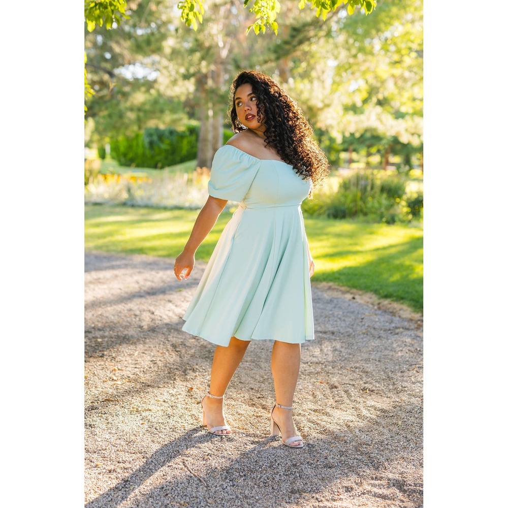 NEW Chelsea Reece Mint Green Puff Sleeve Lace Up Corset Fit & Flare Midi Dress 6